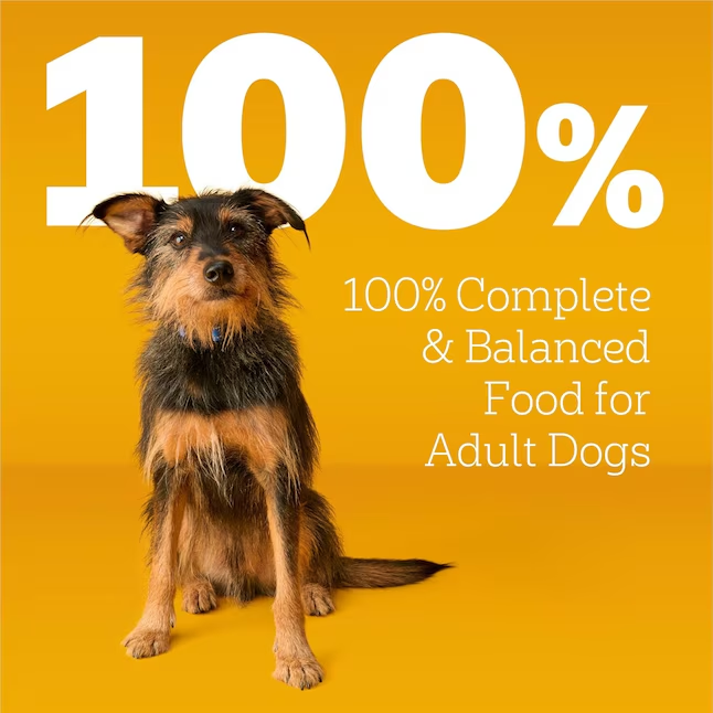 Pedigree Adult Chicken Dog Food 44-lb